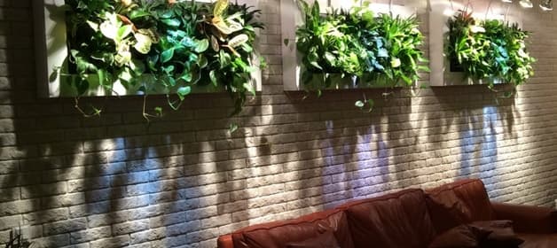 Фитостена из живых растений в интерьере салона красоты